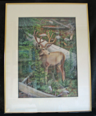 Mr. Buck by Shirley Alexander Pastel - 14 x 19 (20 x 26 - framed) $200